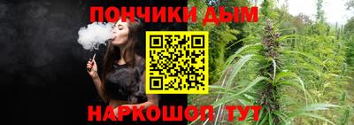 гидра Славгород