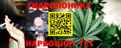 гидра Славгород